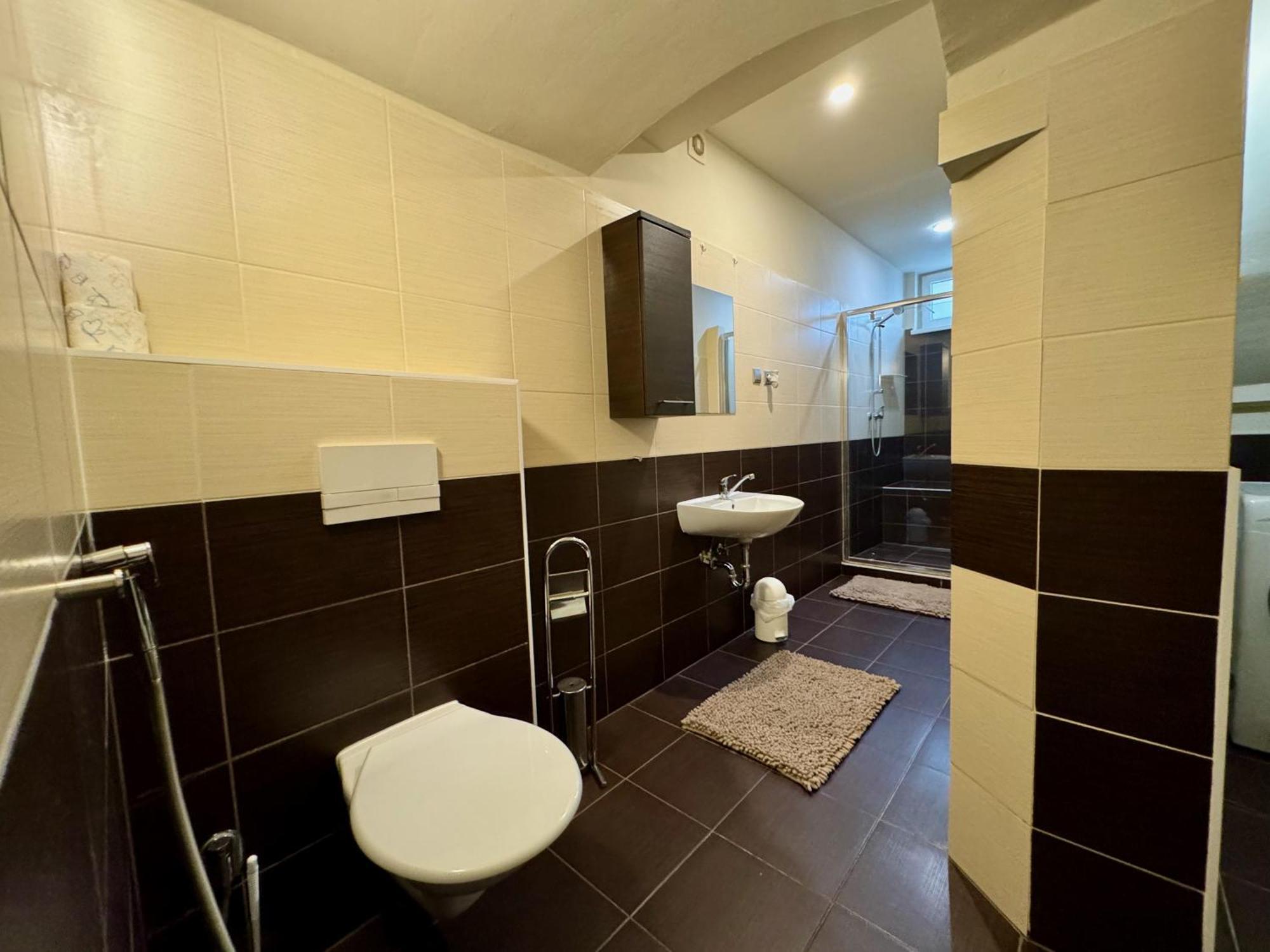 Apartmány Laubeho náměstí Teplice Esterno foto